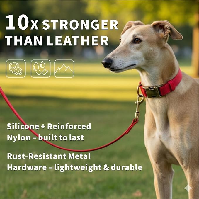Silicone Dog Collar and Leash Set, Waterproof & Odor-Proof Puppy Collar - Image 2