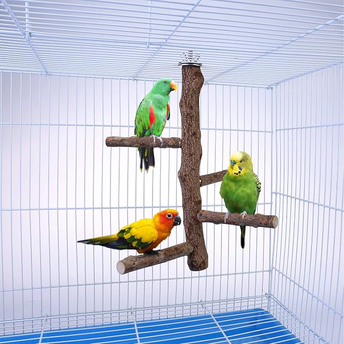 Bird Perch Stand Toy, Natural Wood Parrot Perch Bird Cage Branch Perch - Image 3