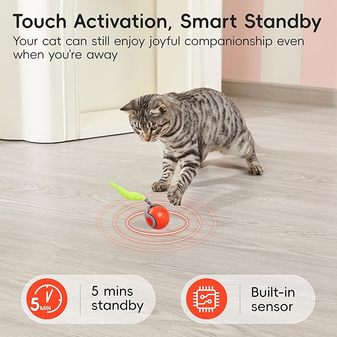 Potaroma Moving Ball Cat Toys - Image 4