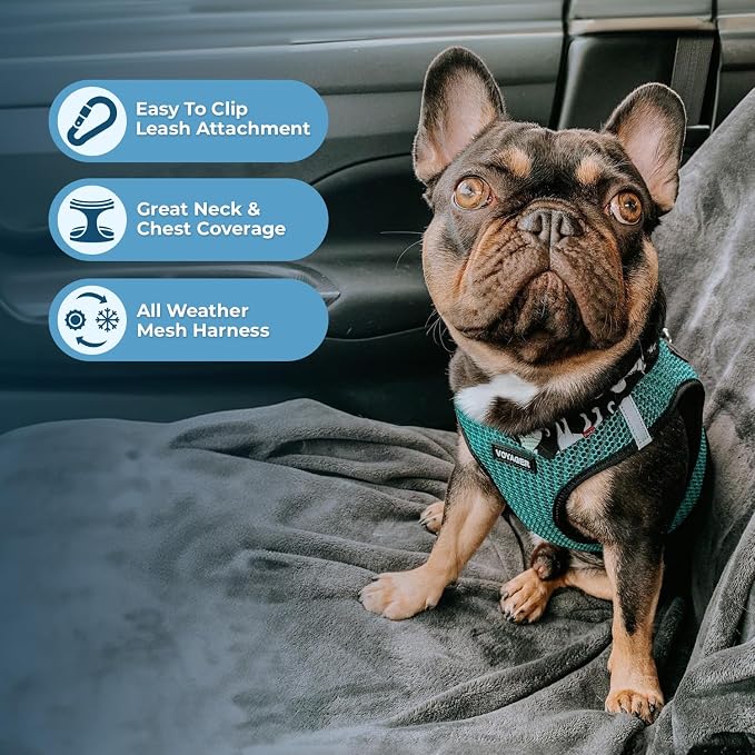 Best Pet Supplies Voyager Step-in Air All Weather Mesh Harness and Reflective - Image 5