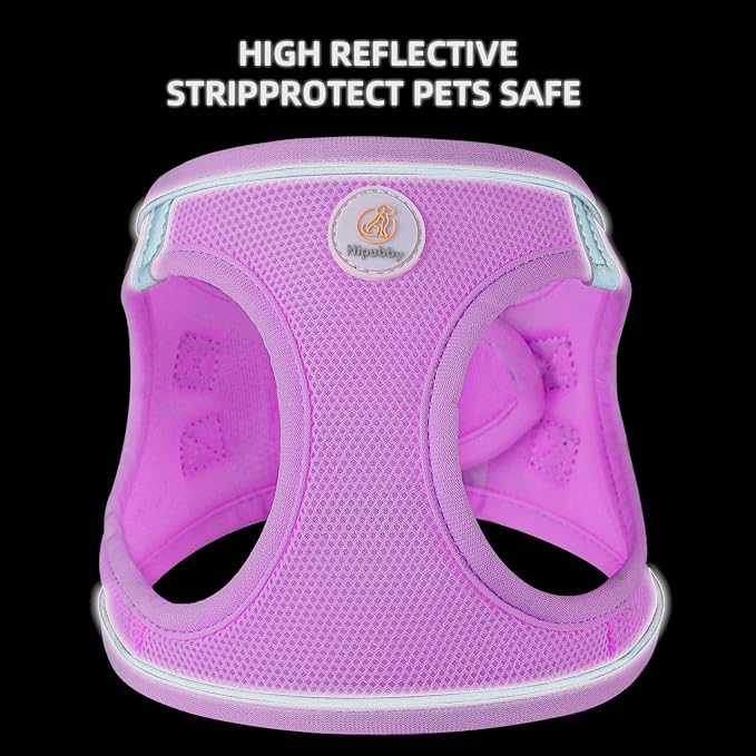 Hipubby Dog Harness and Leash Set, No Pull Soft Mesh Puppy Harness - Image 4