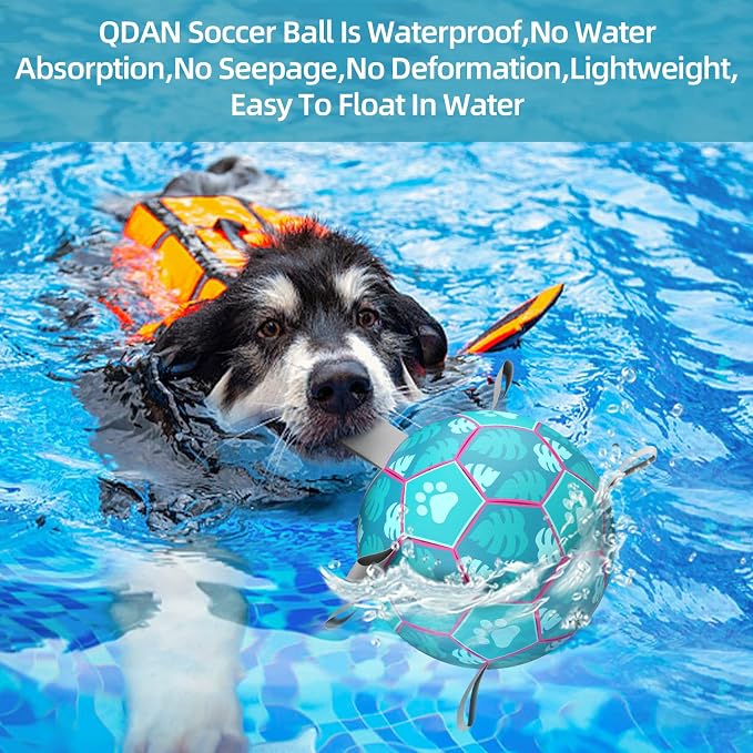 QDAN Dog Toys Soccer Ball, Tug of War Toy, Puppy Birthday Gifts, Water Toy - Image 3