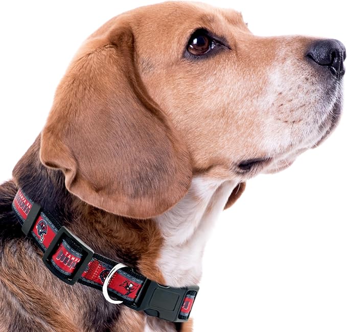 Pets First NFL Tampa Bay Buccaneers Licensed PET COLLAR, Small - Image 4