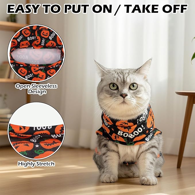 EXPAWLORER Cat Halloween Sweater - Image 4