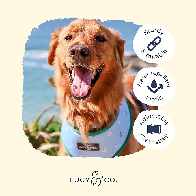 Lucy & Co. Set Sail Reversible Harness, Walking Halter - Image 4