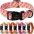 Fall Dog Collar, Fall Orange and Red Plaid Puppy Collar, Adjustable Cotton by Babolepet