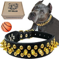 TEEMERRYCA Black Leather Dog Collar by TEEMERRYCA