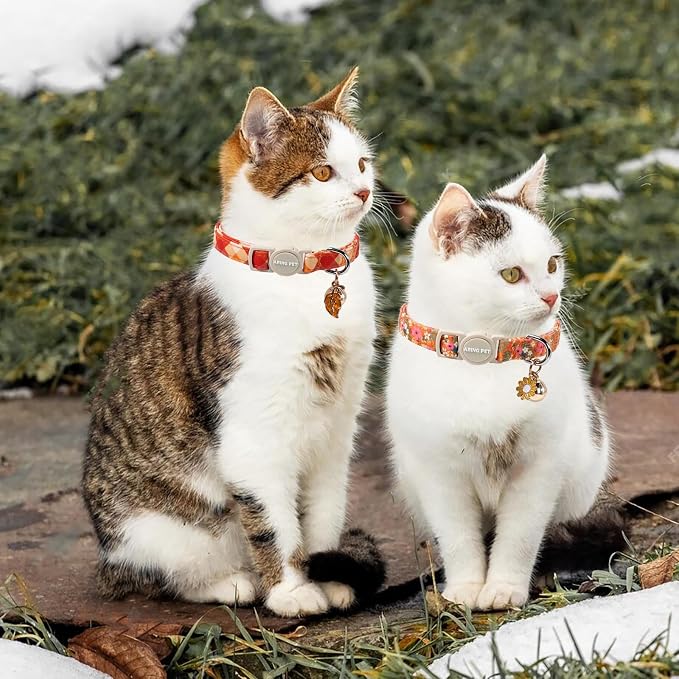 ARING PET 2 Pack Cat Collars, Breakaway Cotton Fall Halloween Kitten Collar - Image 3