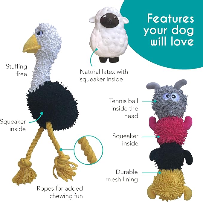 rocket & rex Dog Chew Toy Set for Small to Medium Breeds, Includes a Rope Toy - Image 3