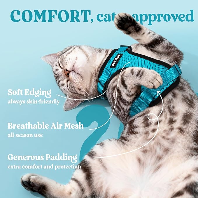 rabbitgoo Cat Harness and Leash - Image 4