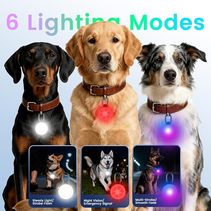 2-in-1 GPS Tracker Dog Light | Smart Tracking Pet LED Light - Image 4