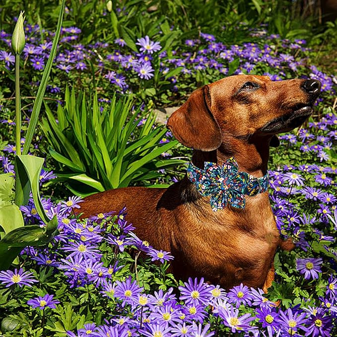 Lionheart glory Dog Collar Darkblue Flower Dog Bow Collars Floral Dog Collar - Image 4