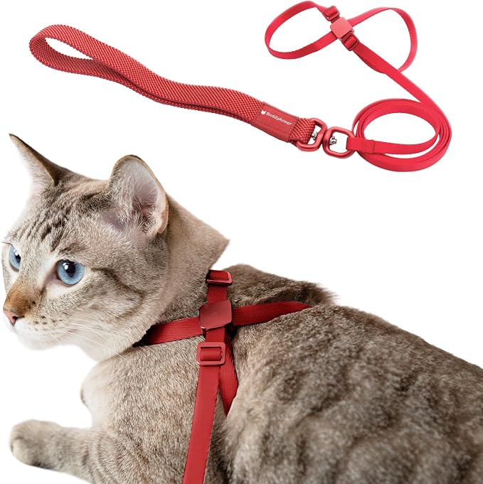 Cat Harness and Leash 2-in-1, Escape Proof Anti-Chocking Harness Adjustable by BuddyArmor