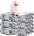 LOKOZ Small Dog Blanket for Medium Large Dogs Fleece Puppy Blanket Washable Dog by LOKOZ