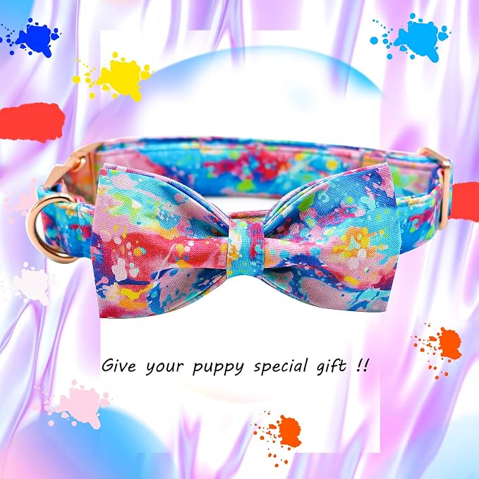 Lionheart glory Dog Collar, Colorful Dog Collar - Image 3