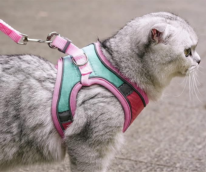 JSXD Cat Harness, Leash and Collar Set, Escape Proof Kitten Vest Harness - Image 3