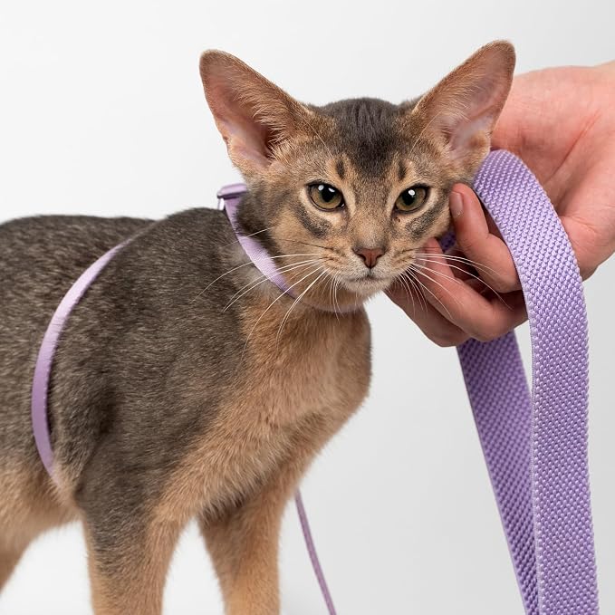 Cat Harness and Leash 2-in-1, Escape Proof Anti-Chocking Harness Adjustable - Image 9