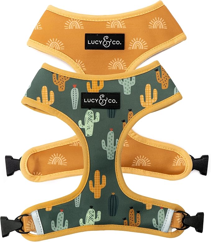 Lucy & Co. Looking Sharp, Cute Reversible Dog Harness Walking Halter by LucyCo
