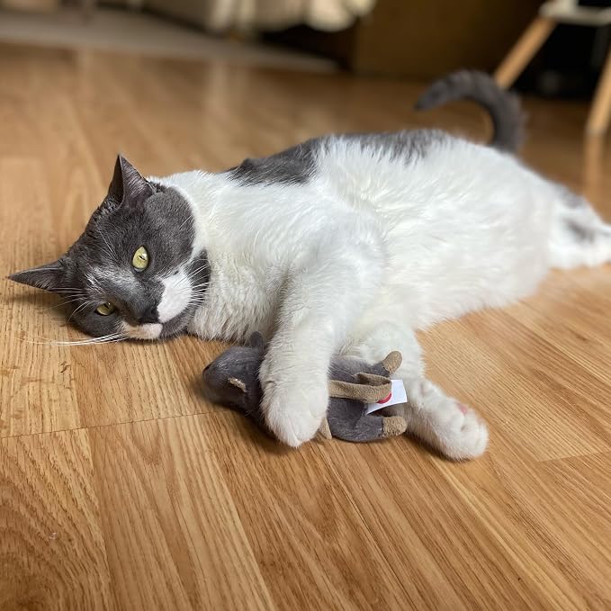 SPOT Flat Mouse Frankie with Catnip - Image 9