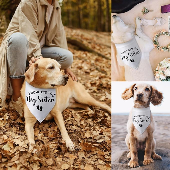 Promoted to Big Sister Pregnancy Announcement Dog Bandana Baby Gender Reveal - Image 6