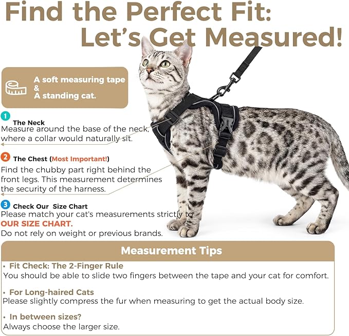 Cat Harness and Leash Set Escape Proof Tactical Small Kitten Harness Emotional - Image 2