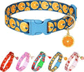 Cute Dog Collar Fruit Orange Pattern by Raisingwell