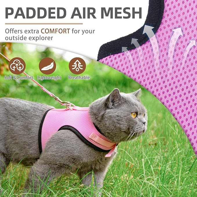 PUPTECK Soft Mesh Cat Vest Harness and Leash Set Puppy Padded Pet Harnesses - Image 2