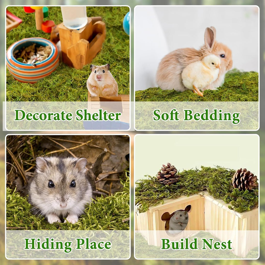 Halatool Hamster Moss Bedding, 25QT, 1.1LB - GlobalHabitat Supply