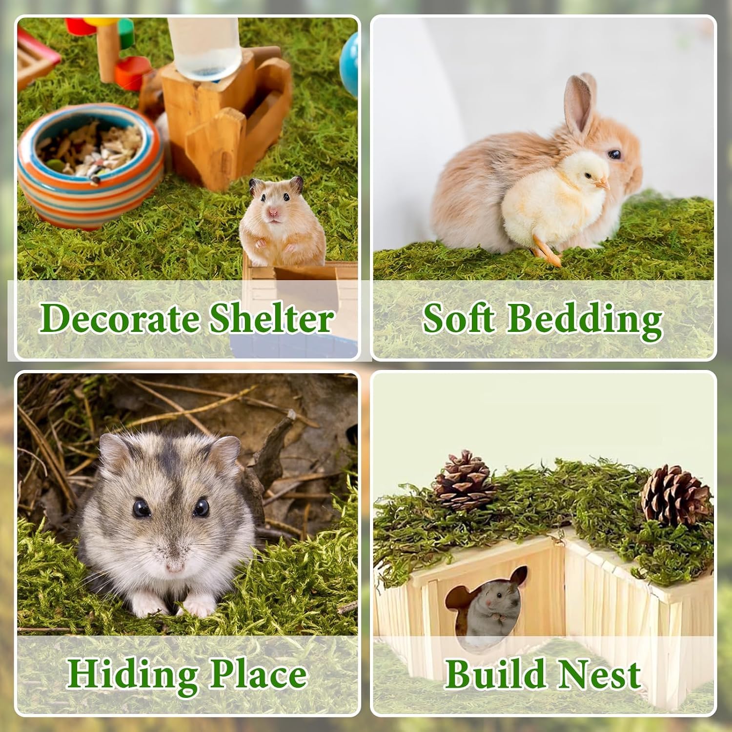 Halatool Hamster Moss Bedding, 25QT, 1.1LB - GlobalHabitat Supply