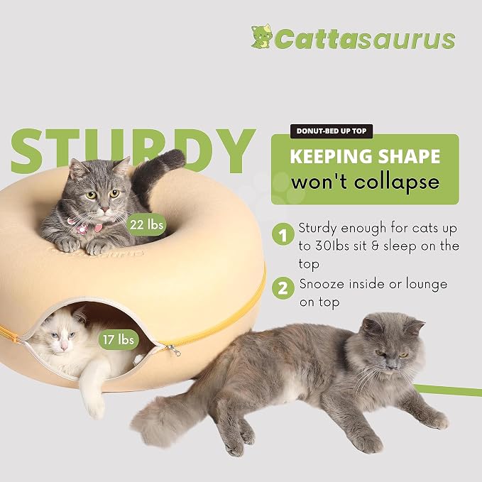 Cattasaurus Peekaboo Cat Cave Donut - Image 2