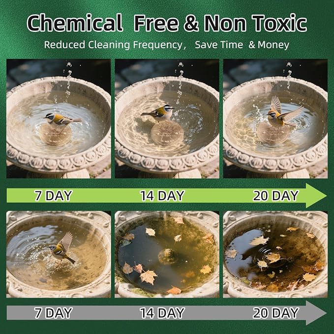 Bird Bath Copper Disk, Pure Copper Bird Bath Purification Disc, Save Cleaning - Image 5