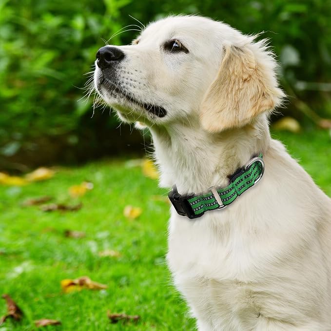 Hikiko Martingale Dog Collars Reflective Nylon Dog Collar - Image 2
