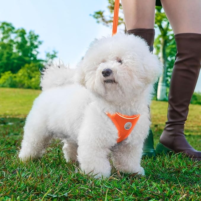 Hipubby Dog Harness and Leash Set, No Pull Soft Mesh Puppy Harness - Image 2
