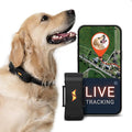 PAJ GPS Dog Tracker - 4G Real-Time Tracking & Runaway Alerts - Waterproof by PAJGPS
