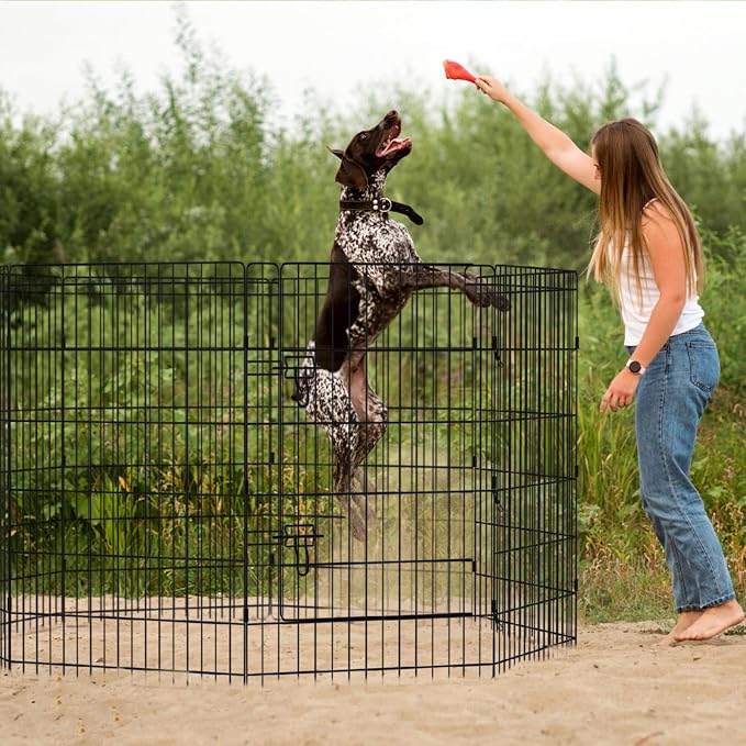 Peekaboo Pet Playpen Dog Fence Foldable Metal Dog Pen Wire Exercise Puppy Play - Image 5
