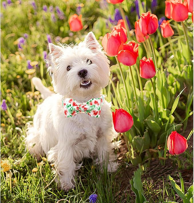 Lionheart glory Dog Collar Bow Collar Floral Dog Collar - Image 3