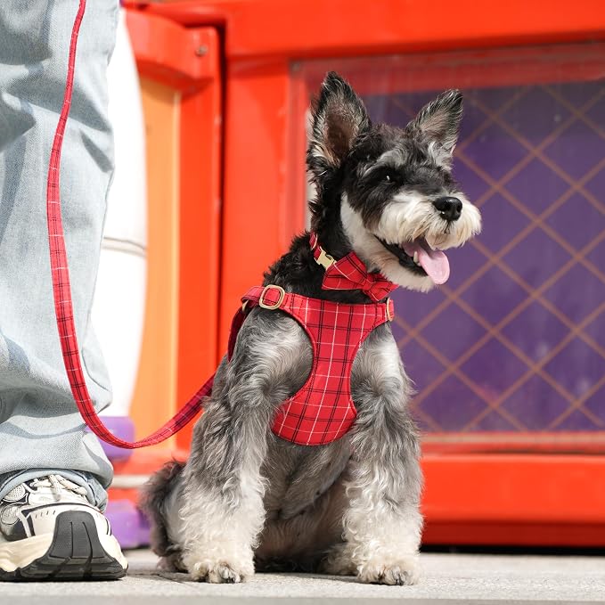 Beirui Cute Small Dog Harness Collar and Leash Set - Image 4