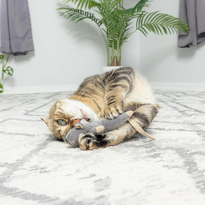 SPOT Flat Mouse Frankie with Catnip - Image 5