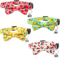4 Pack Cat Collar with Bow Tie and Bell Breakaway Fruit Cat Collars Spring by XLSXEXCL
