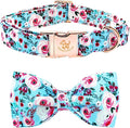 Elegant little tail Dog Collar, Rose Print Pet Collar Summer Dog Collar Durable by Elegantlittletail