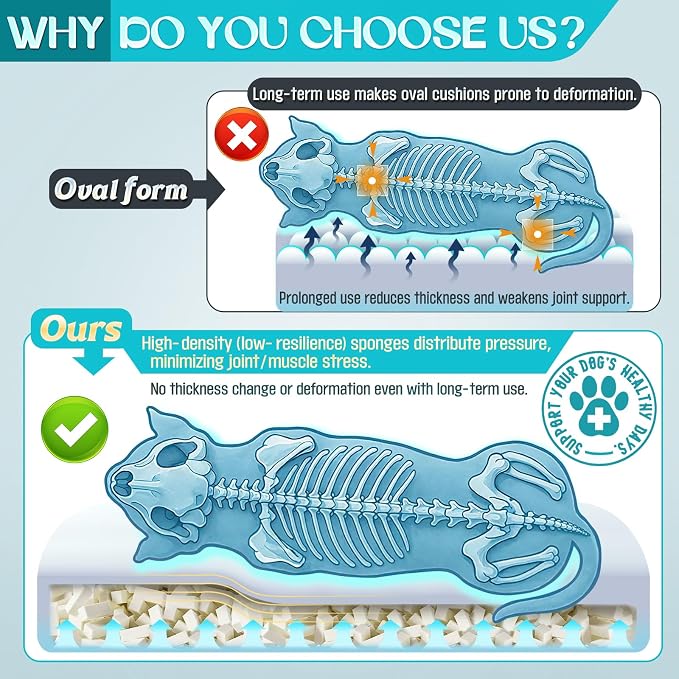 Waterproof Memory Foam Dog Beds - Image 4