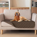 gogobunny 3X Stronger Waterproof Pet Blanket, Scratch Proof Furniture Protector by gogobunny