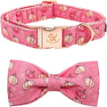 Elegant Little Tail Dog Collar by Elegantlittletail