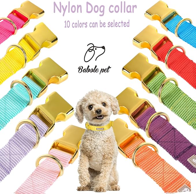 Nylon Dog Collar - Image 7