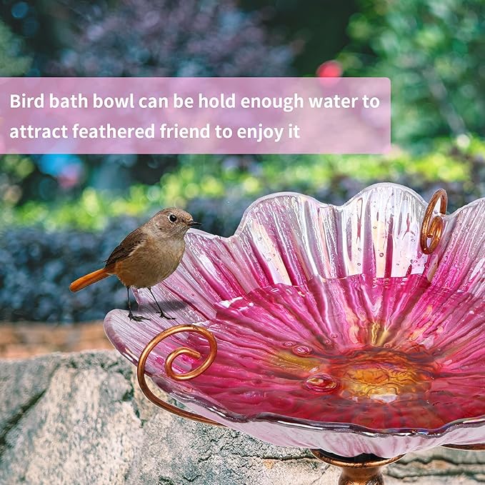 MUMTOP 31 Inch Height Glass Birdbath Birdfeeder - Image 3