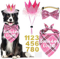 Dog Birthday Party Supplies by JOTFA