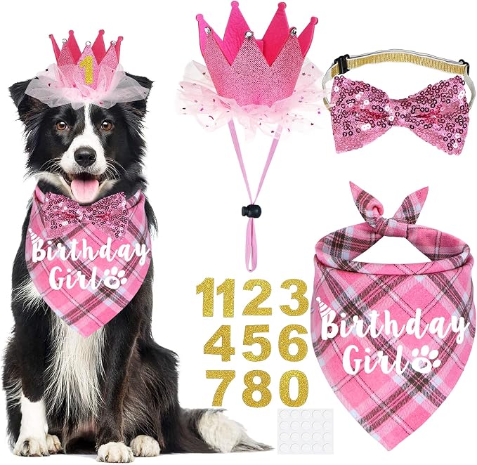 Dog Birthday Party Supplies by JOTFA