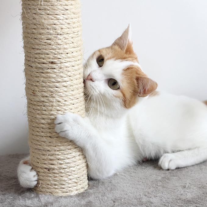 Cat Scratching Post - Image 5