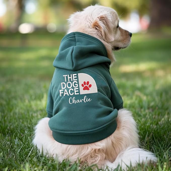 Noni Personalized Name Dog Hoodie, Embroidered Puppy Sweater - Image 3