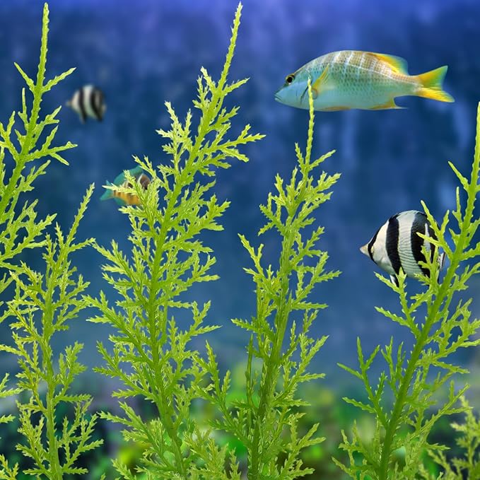 Fish Tank Accessories Large Plants, Aquarium Decor Plastic Plants 3pcs - Image 7